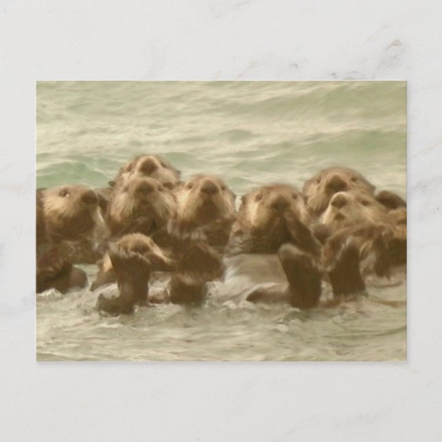 Sea Otters Postkarte (Vorderseite)