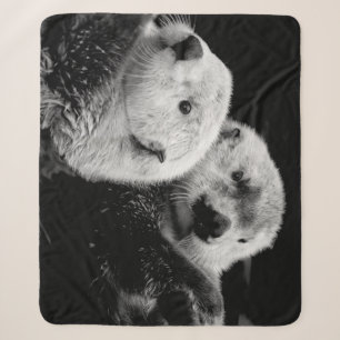 Sea Otters: Schwarz-weißes Paar. Sherpadecke