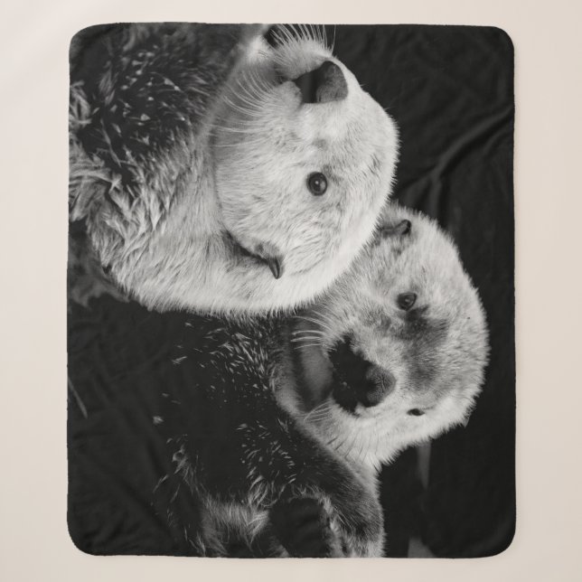 Sea Otters: Schwarz-weißes Paar. Sherpadecke (Vorderseite)