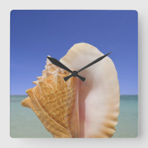 Sea Shell Close Up Quadratische Wanduhr
