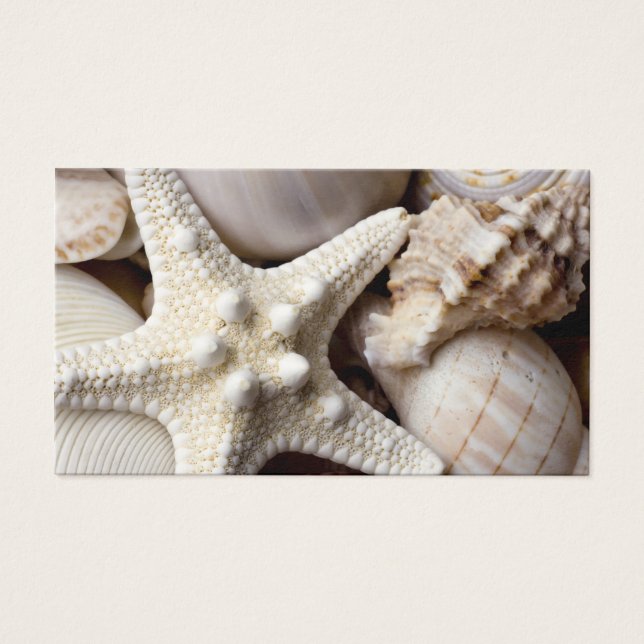 Sea Shell Starfish Arrière - plan - Beach Shells (Devant)