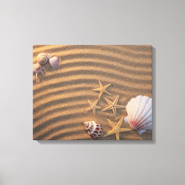 Sea Shells And Starfish Leinwanddruck (Vorderseite)