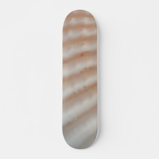 Sea Shells Summer Beach Exotic Tropical Skateboard (Devant)