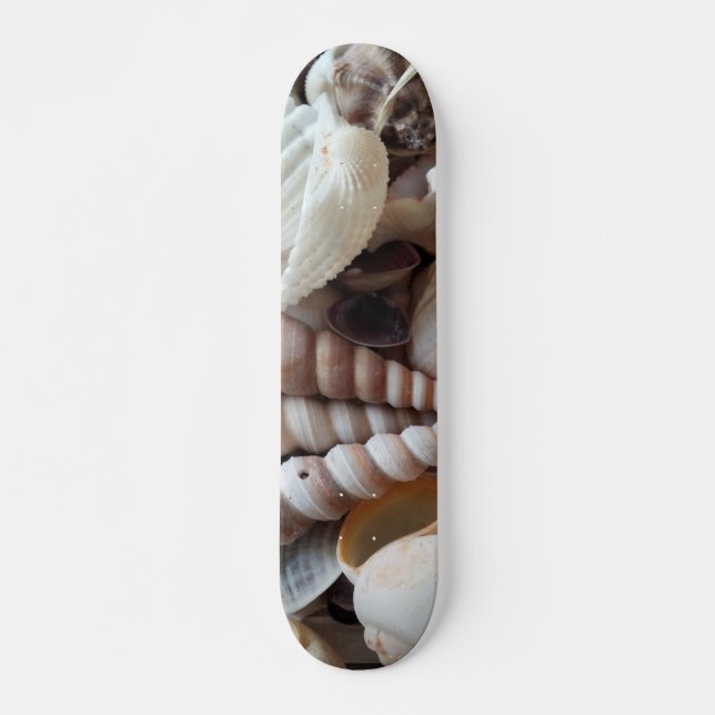 Sea Shells Summer Beach Exotic Tropical Skateboard (Devant)