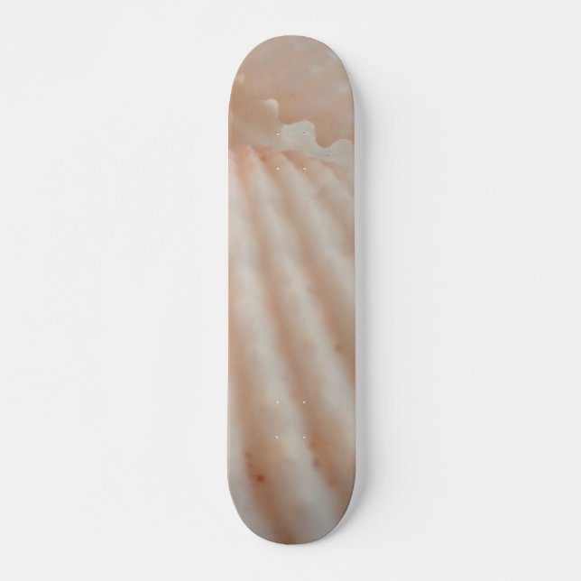 Sea Shells Summer Beach Exotic Tropical Skateboard (Devant)