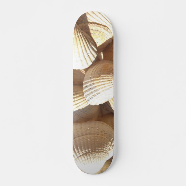Sea Shells Summer Beach Exotic Tropical Skateboard (Devant)