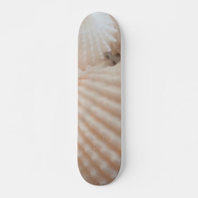 Sea Shells Summer Beach Exotic Tropical Skateboard (Devant)