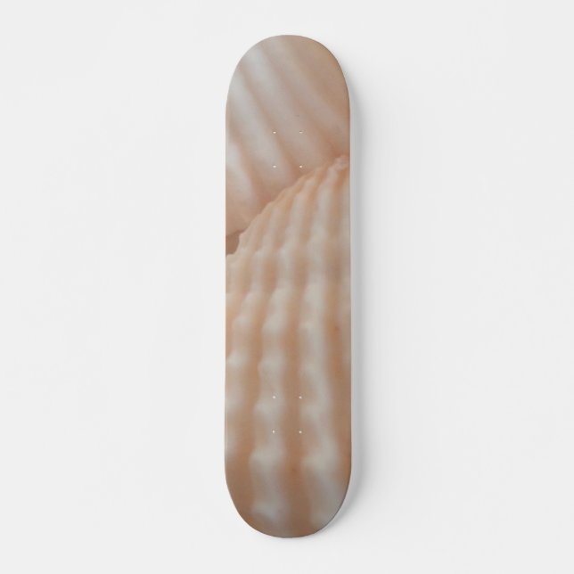 Sea Shells Summer Beach Exotic Tropical Skateboard (Devant)