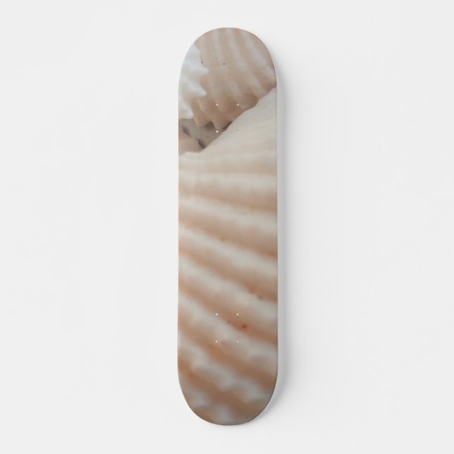 Sea Shells Summer Beach Exotic Tropical Skateboard (Devant)
