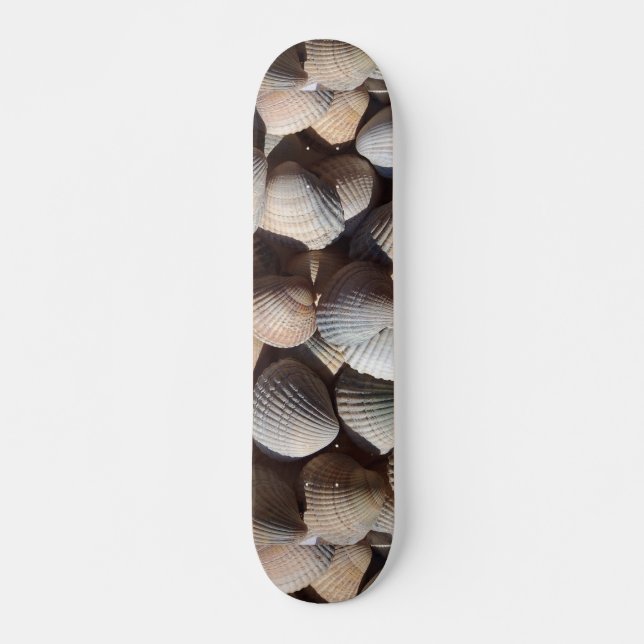 Sea Shells Summer Beach Exotic Tropical Skateboard (Devant)