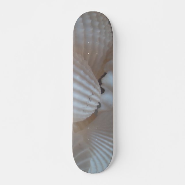Sea Shells Summer Beach Exotic Tropical Skateboard (Devant)