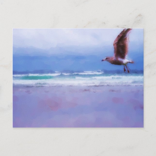 Sea Sinti und Roma Postcard Postkarte (Vorderseite)