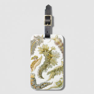 Sea Slugchia von Ernst Haeckel, Vintage Nudibranch Gepäckanhänger