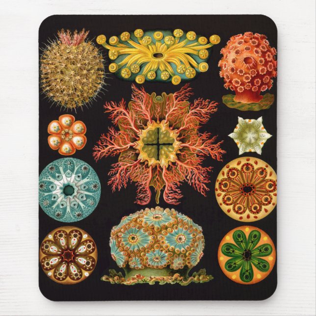 Sea Squirt Square Mousepad (Vorne)
