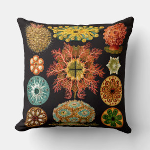 Sea Squirt Square Throw Kissen