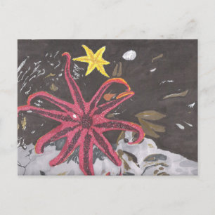 Sea Star Postkarte