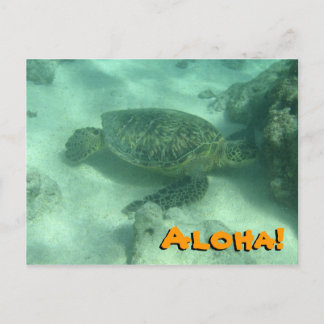 Sea Turtle Aloha von Hawaii Postcard Postkarte