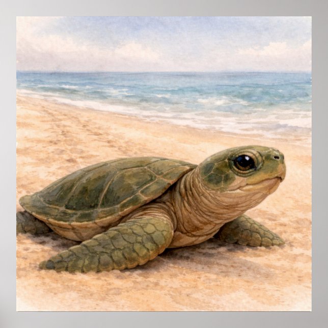 Sea Turtle Beach  Poster (Vorne)