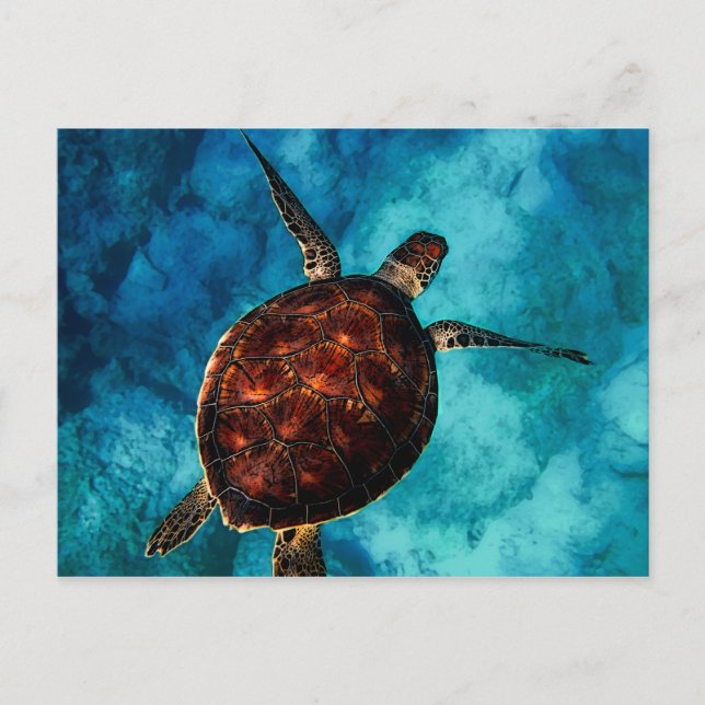 Sea Turtle Beauty Postkarte (Vorderseite)