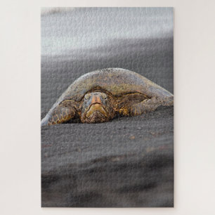 Sea Turtle Black Sand Beach Hawaii -20x30- 1014 pc