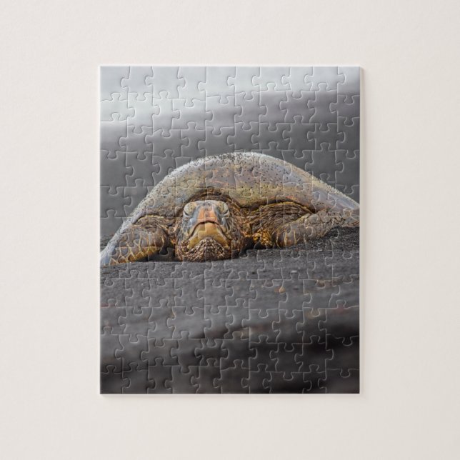 Sea Turtle Black Sand Beach Hawaii 8x10 - 110 pc (Vertikal)