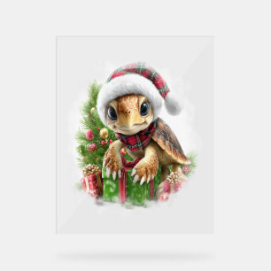 Sea Turtle Shirt Weihnachten Weihnachtsmannmütze Acrylschild