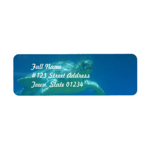 Sea Turtle Swim Mailing Labels