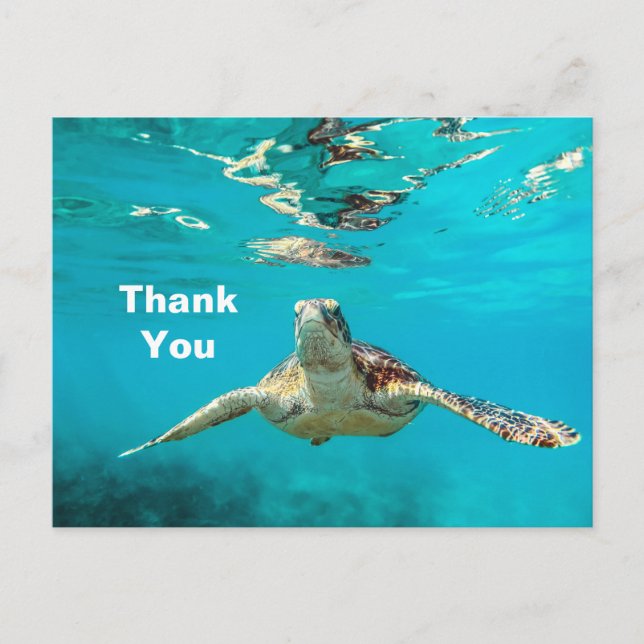 Sea Turtle Vielen Dank Postkarte (Vorderseite)