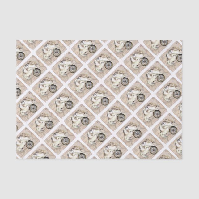 Sea Turtles Compass Map Seidenpapier (Vorderseite)