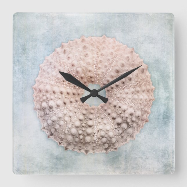 Sea Urchin Malerei an der Küste Blaue Creme Quadratische Wanduhr (Vorderseite)