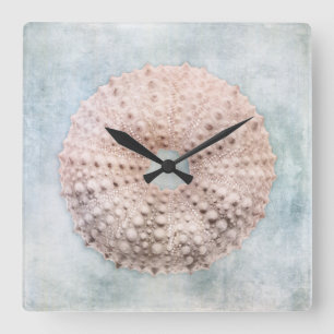 Sea Urchin Not Coastal Blue Cream Painting Quadratische Wanduhr