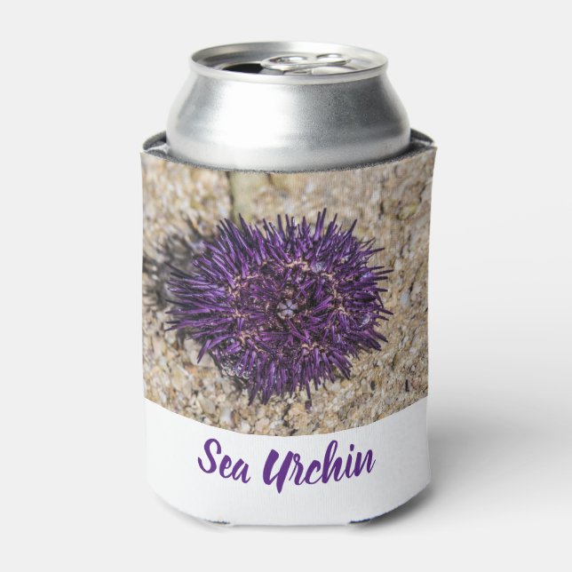 Sea Urchin Ocean Beach Holiday Sommer Souvenir Dosenkühler (Kanne Vorderseite)