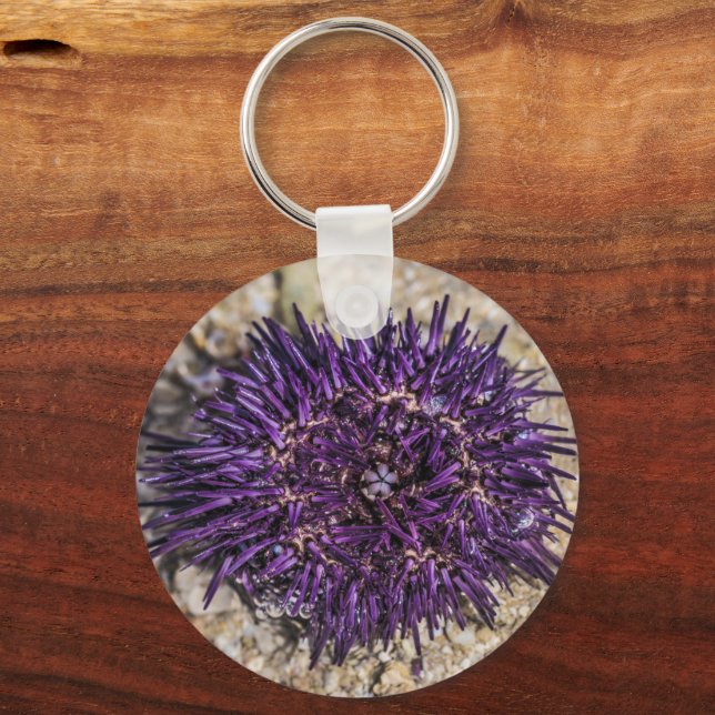 Sea Urchin Ocean Beach Holiday Sommer Souvenir Schlüsselanhänger (Vorderseite)