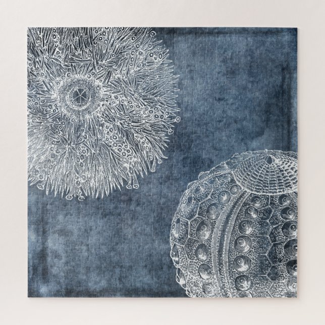 Sea Urchin Watercolor Ocean Navy Blue White (Vertikal)