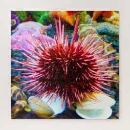 Sea Urchins