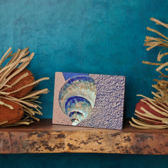 Sea Welk Seashell Fotoplatte (Seite)