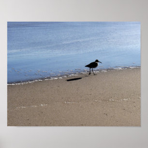 Seabird am Strand Poster