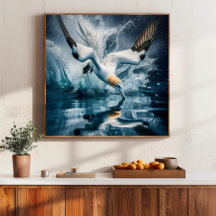 Seabird Gannet Coastal Nature Fotografy Art