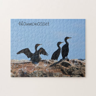 Seabird Puzzle