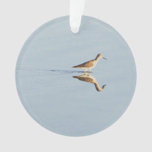 Seabird Reflection Foto Ornament