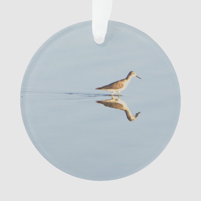 Seabird Reflection Foto Ornament (Vorderseite)