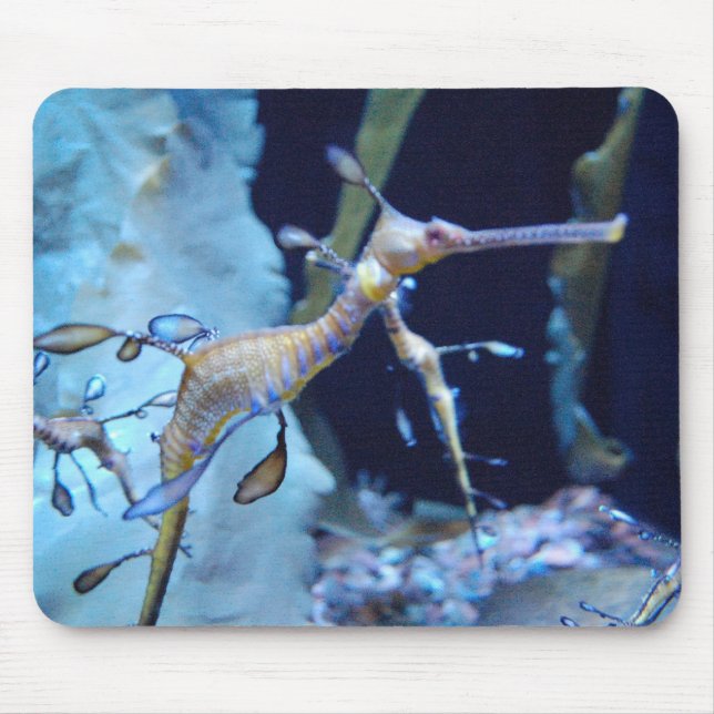 SeaDragon Mousepad (Vorne)