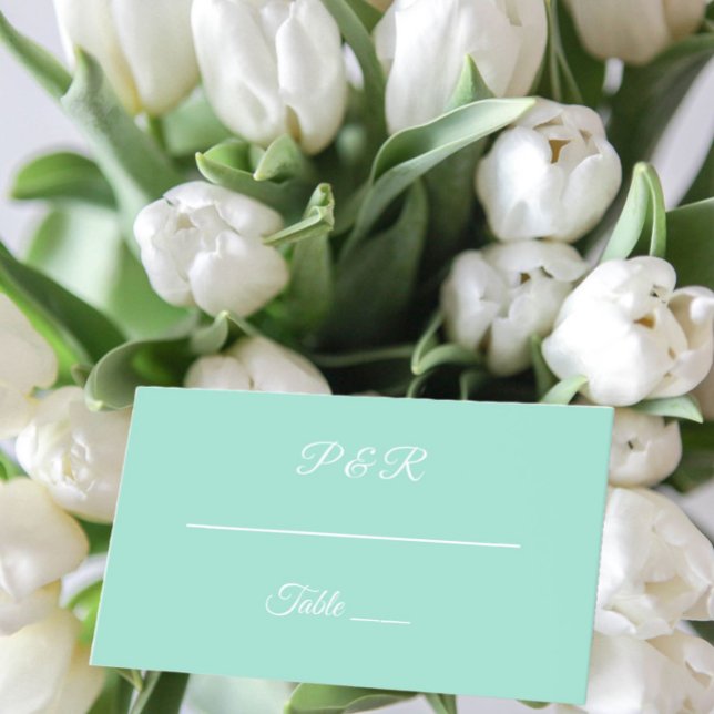 Seafoam Einfache, stilisierte Script-Hochzeit Platzkarte (In Situ Wedding)