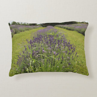Seafoam Lavender Farm Dekokissen