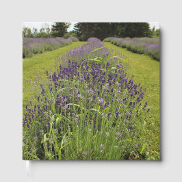 Seafoam Lavender Farm Gästebuch