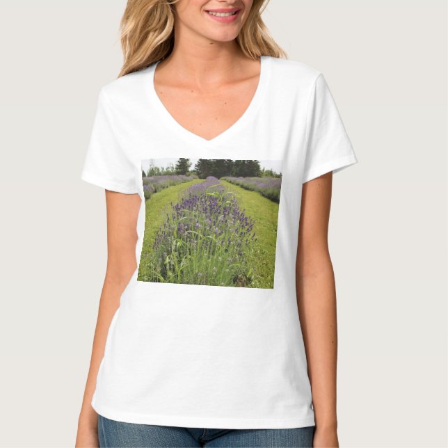 Seafoam Lavender Farm T-Shirt (Vorderseite)