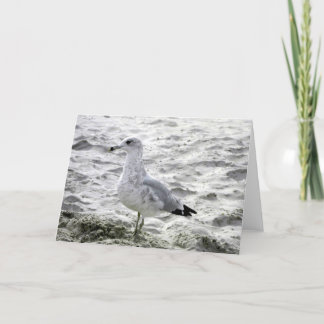 SEAGULARKARTE KARTE