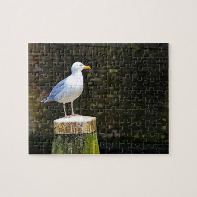 Seagull (Horizontal)