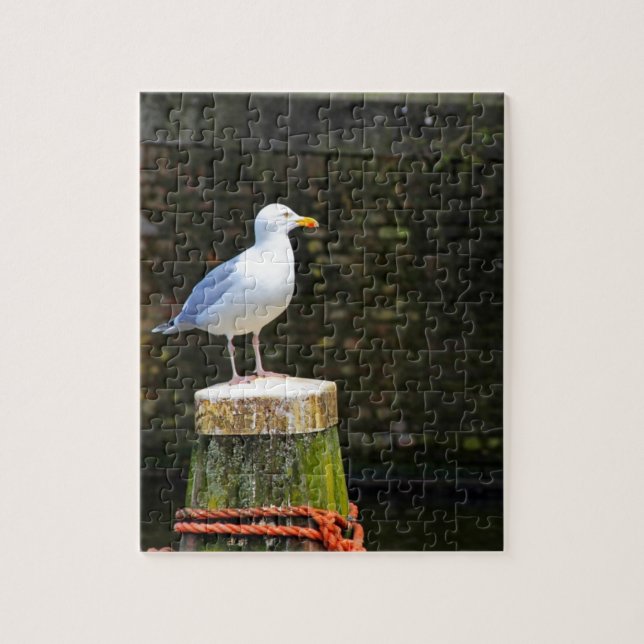 Seagull (Vertikal)