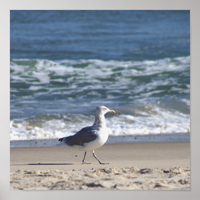 Seagull am Beach Poster (Vorne)